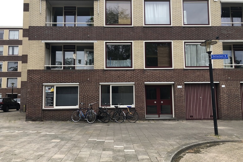 Bekijk foto 1 van Deliuslaan 2 Bekijk foto 1 van Deliuslaan 2