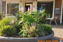 Bekijk foto 6 van Geitenkamp 60