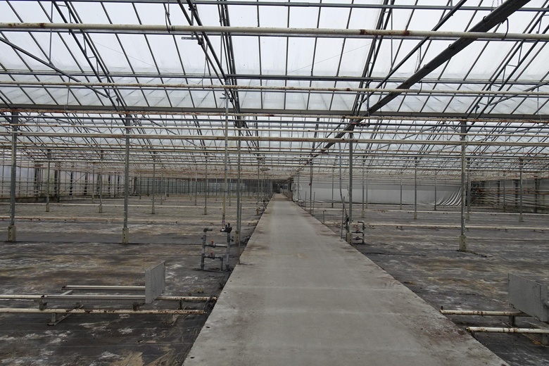 BedrijfsruimteaanHornweg 206<br/> inAalsmeer BedrijfsruimteaanHornweg 206<br/> inAalsmeer