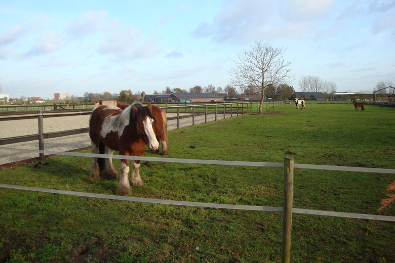 BedrijfsruimteaanWillibrordushoek 14<br/> inVeghel