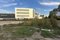 Bekijk foto 5 van Maxwellstraat 49