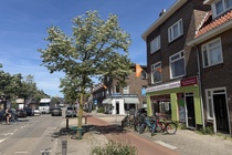 Winkelruimte Utrecht - Rijnlaan 44 - Foto 4