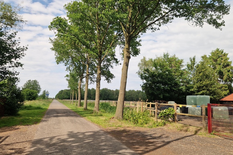 Bedrijfsruimte Kolham - Uiterdijk 1 - Foto 6