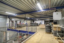 Bekijk foto 4 van Dommelstraat 6