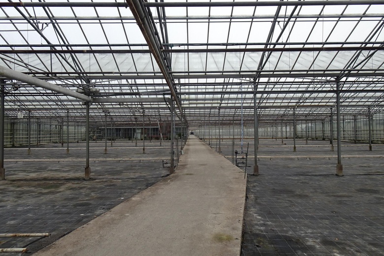 BedrijfsruimteaanHornweg 206<br/> inAalsmeer BedrijfsruimteaanHornweg 206<br/> inAalsmeer