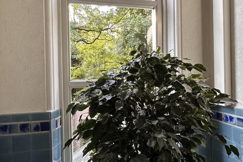 KantoorruimteaanMierloseweg 16<br/> inGeldrop KantoorruimteaanMierloseweg 16<br/> inGeldrop