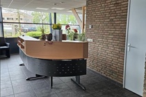 Bekijk foto 4 van Oostwijk 25