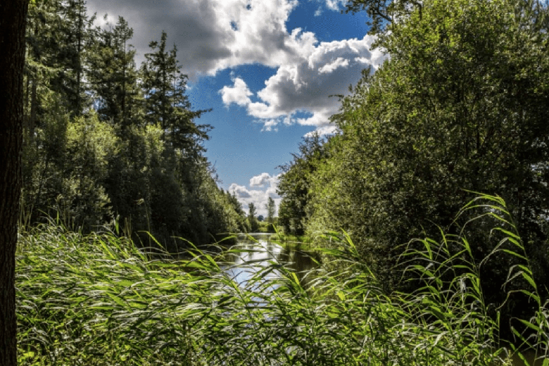 HorecaaanKerkweg 18<br/> inHaarle HorecaaanKerkweg 18<br/> inHaarle