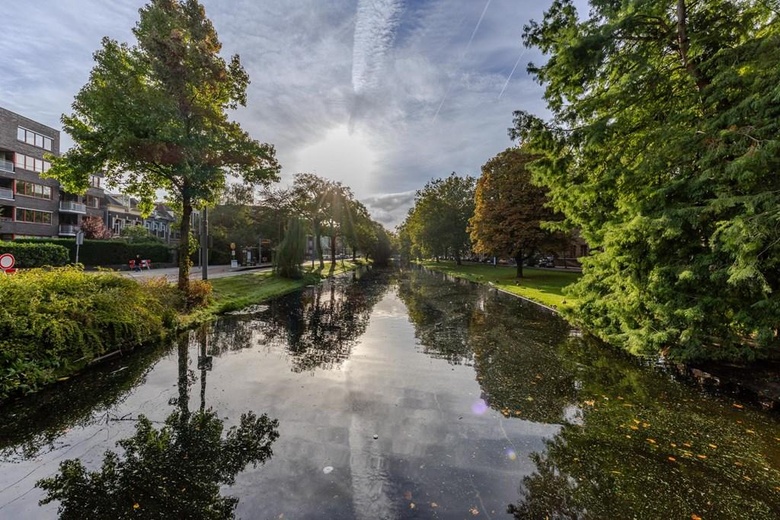 Winkelruimte Rotterdam - Noordsingel 96 - Foto 18