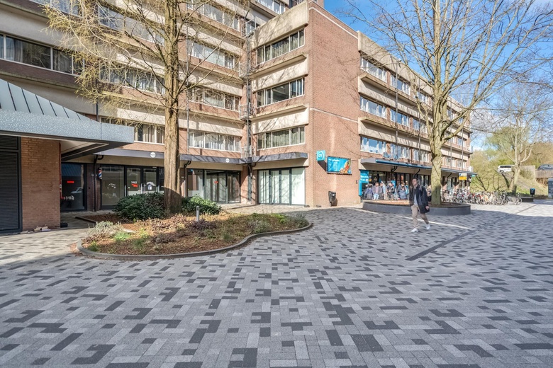 WinkelruimteaanDalsteindreef 1003<br/> inDiemen