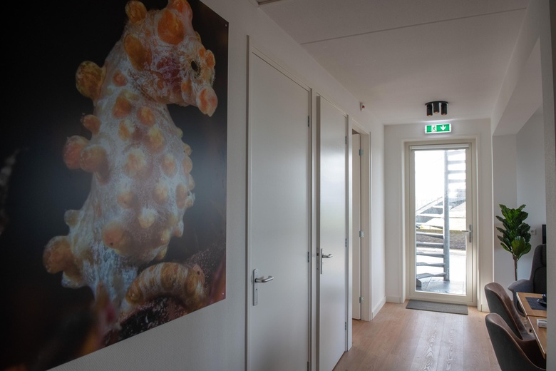 BedrijfsruimteaanResidentie Oosterschelde 0 ong<br/> inSint Philipsland