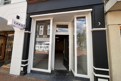 Bekijk foto 2 van Nassaulaan 3 Bekijk foto 2 van Nassaulaan 3