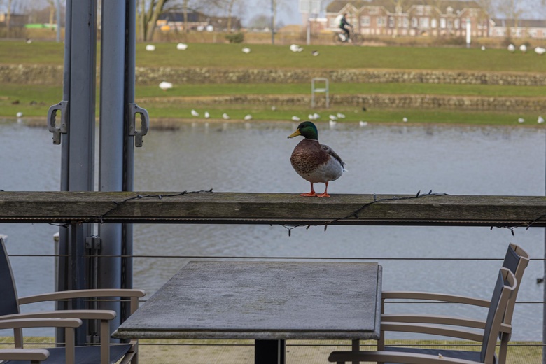 Horeca Venlo - Werf 1 - Foto 19