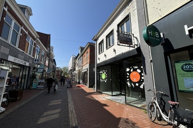 Bekijk foto 2 van Nassaulaan 24 Bekijk foto 2 van Nassaulaan 24