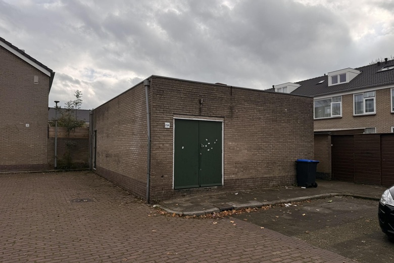 Bekijk foto 1 van Janseniushof 29 A