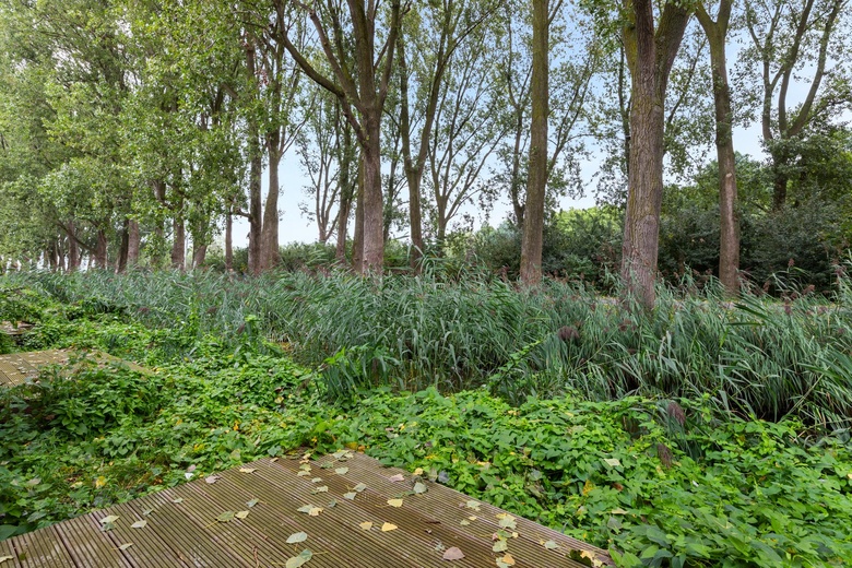 BedrijfsruimteaanTitaniumweg 20<br/> inAlphen aan den Rijn BedrijfsruimteaanTitaniumweg 20<br/> inAlphen aan den Rijn