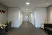 Bekijk foto 6 van Bosschebaan 64