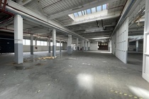 Bekijk foto 4 van Sluisjesdijk 153