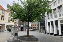 Bekijk foto 3 van Zuivelplein 2 Bekijk foto 3 van Zuivelplein 2