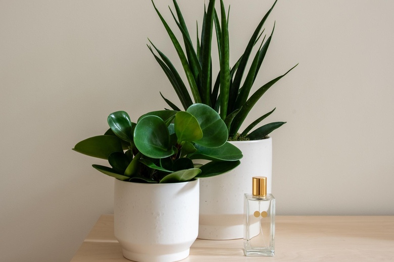 KantoorruimteaanPapaverhof 22<br/> inAmsterdam