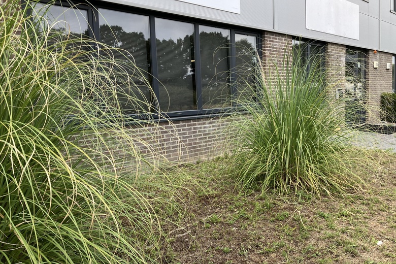 BedrijfsruimteaanPeppelkade 15 a<br/> inHouten