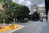 Bekijk foto 6 van Stadhuisplein 356