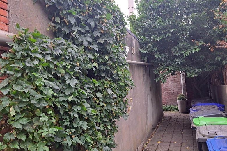 WinkelruimteaanGentsevaartstraat 33<br/> inAxel