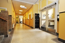 Bekijk foto 5 van Spechtlaan 2