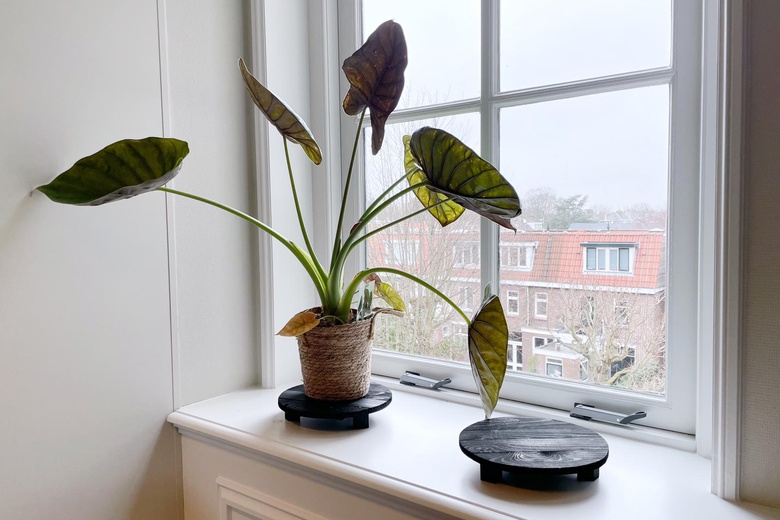 KantoorruimteaanRhijngeesterstraatweg 40 D<br/> inOegstgeest KantoorruimteaanRhijngeesterstraatweg 40 D<br/> inOegstgeest