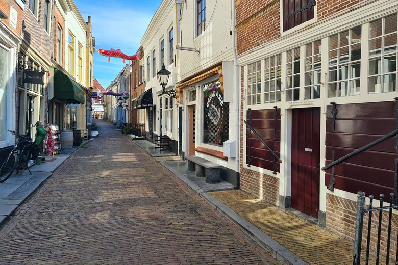 Bekijk foto 1 van Visstraat 13 Bekijk foto 1 van Visstraat 13