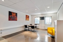 Bekijk foto 3 van Kamperfoelie 1 A