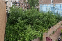 Kavel Amsterdam - Wenslauerstraat 22 0 ong - Foto 4