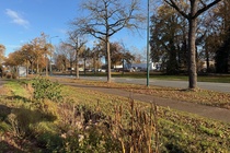 Bekijk foto 3 van Oranjelaan 42