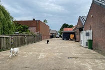 Bedrijfsruimte Elshout - Kerkstraat 59 - Foto 6