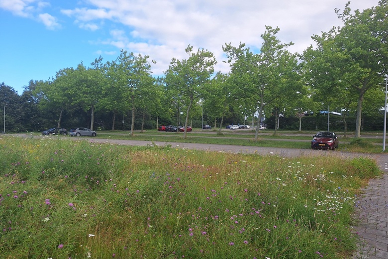 Kantoorruimte Hoogeveen - Elbe 10 - Foto 27