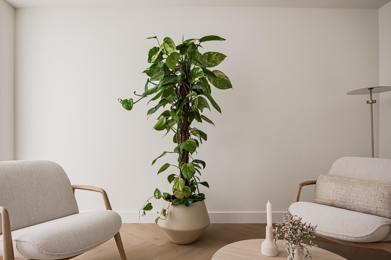 KantoorruimteaanPapaverhof 22<br/> inAmsterdam