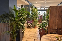 Winkelruimte Weesp - Buitenveer 19 - Foto 5