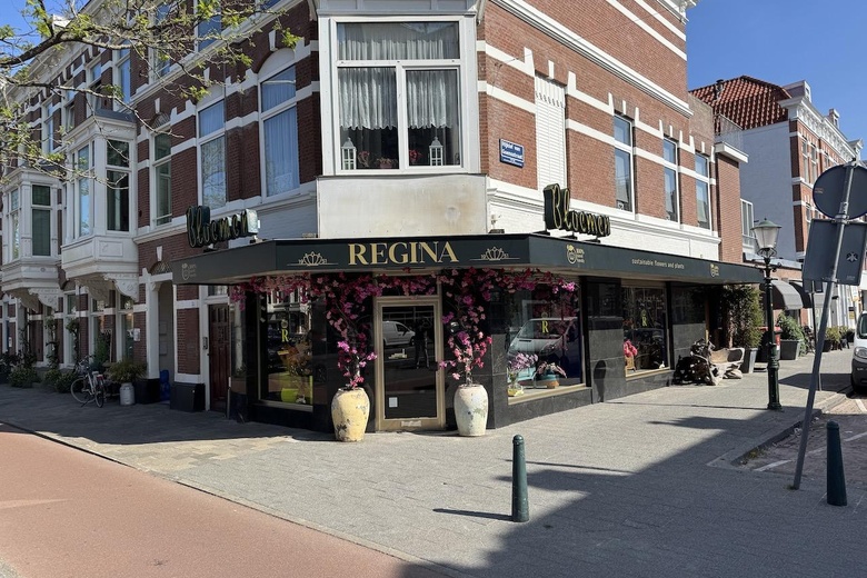 Bekijk foto 1 van Laan van Nieuw-Oost-Indie 36 A Bekijk foto 1 van Laan van Nieuw-Oost-Indie 36 A