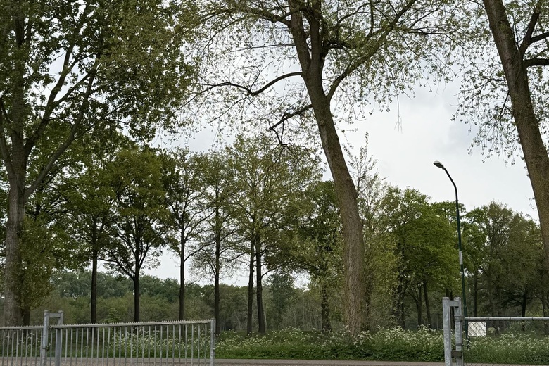 BedrijfsruimteaanHondsdijk 1<br/> inEscharen BedrijfsruimteaanHondsdijk 1<br/> inEscharen