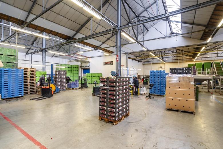 BedrijfsruimteaanABC Westland 417<br/> inPoeldijk