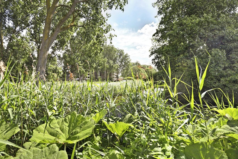 Bedrijfsruimte Alphen aan den Rijn - Titaniumweg 28 - Foto 13