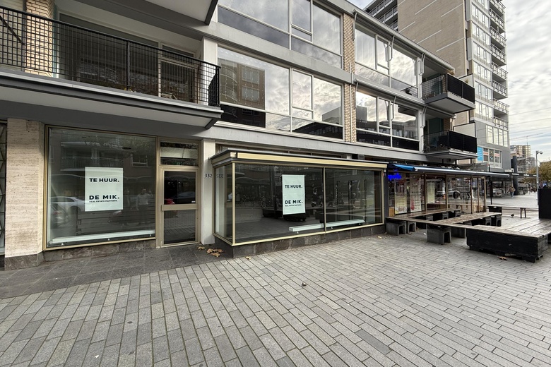 Bekijk foto 1 van Karel Doormanstraat 332