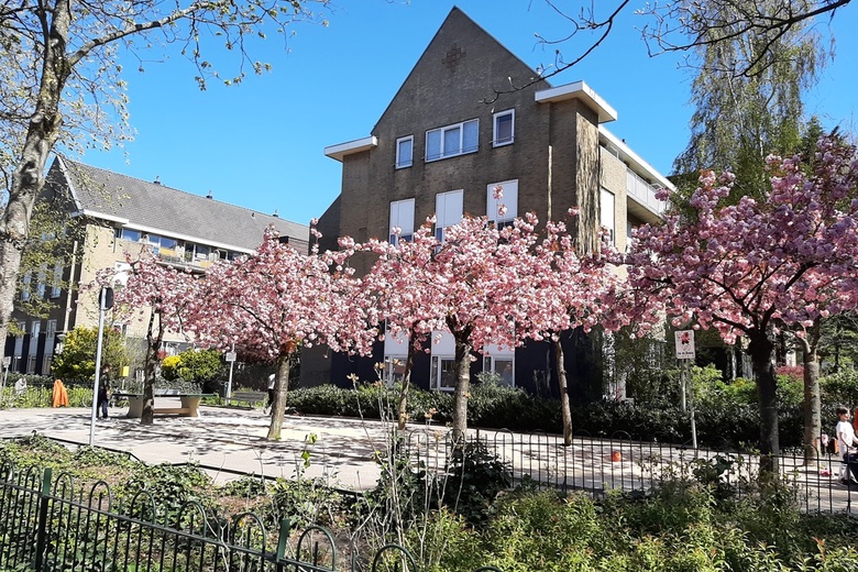 ZorgaanNicolaas Beetsstraat 128 H<br/> inAmsterdam