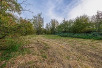 Bekijk foto 6 van Voorstraat 0 ong