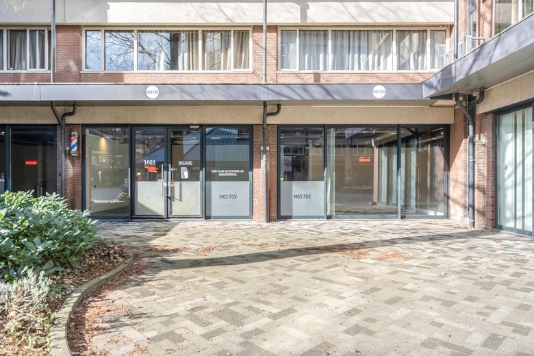 WinkelruimteaanDalsteindreef 1003<br/> inDiemen