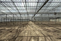 Bekijk foto 5 van Aalsmeerderweg 882 B