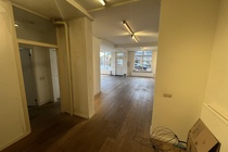 Bekijk foto 6 van Theresialaan 111