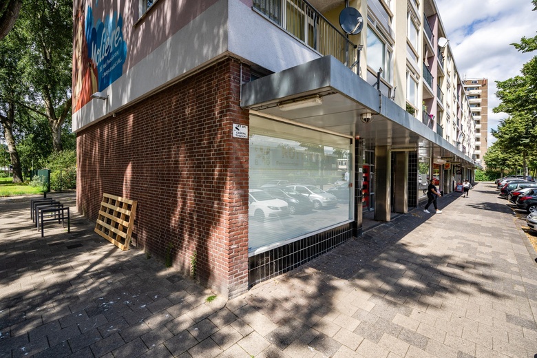 Bekijk foto 1 van Dumasstraat 263 Bekijk foto 1 van Dumasstraat 263