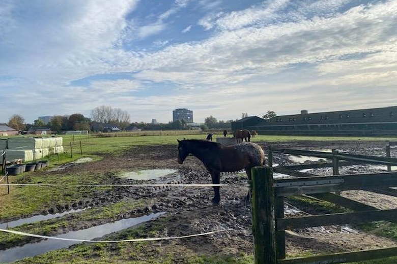 BedrijfsruimteaanWillibrordushoek 14<br/> inVeghel