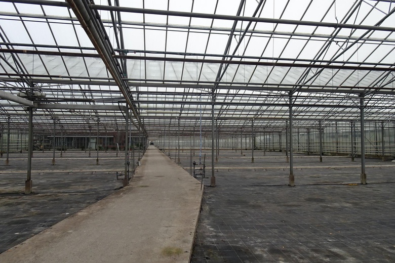 BedrijfsruimteaanHornweg 206<br/> inAalsmeer BedrijfsruimteaanHornweg 206<br/> inAalsmeer